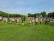 Viele Menschen stehen auf einer Wiese und wärmen sich für das Sportfest auf