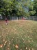 Kinder spielen Blindenfußball auf einer Wiese, an deren Ende ein Tor steht
