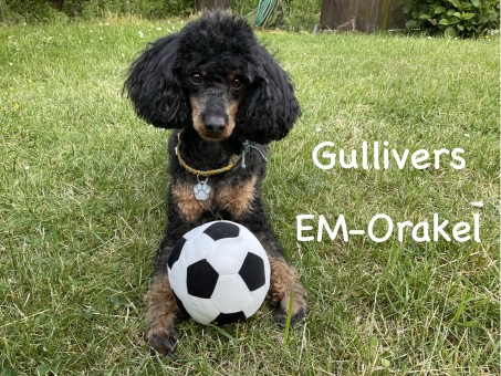 Schulhund Gulliver liegt auf der Wiese, zwischen seinen Vorderbeinen liegt ein schwarz-weißer Fußball. Auf der rechten Seite des Bildes steht in weißer Schrift: "Gullivers EM-Orakel".