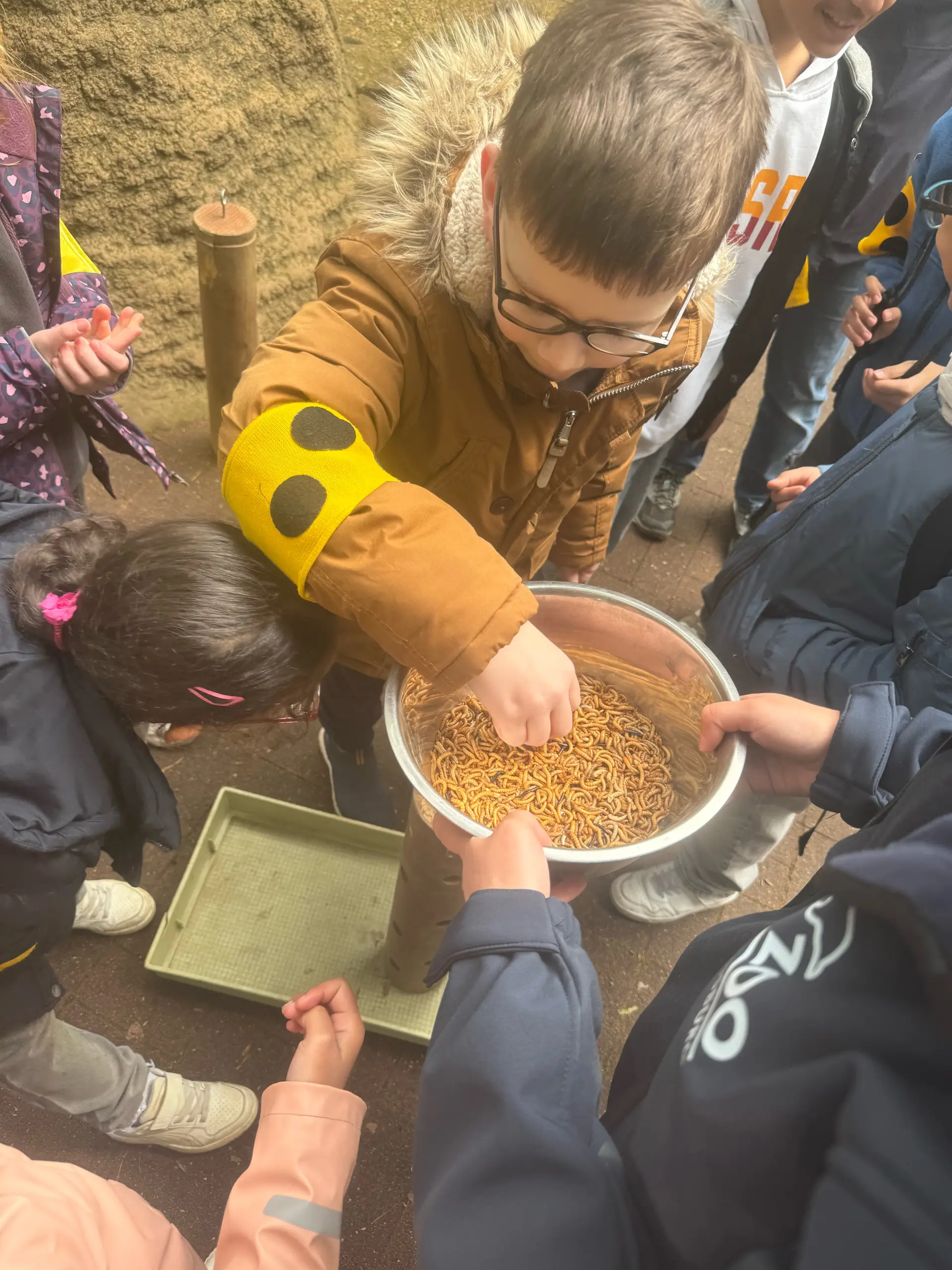 Kinder füttern Insekten (Mehlwürmer) an einer Mitmachstation. 